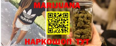 гидра Берёзовский